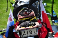 Zdjęcie: KM BIKERS LEGION LESZNO NA V ZLOCIE MOTOCYKLOWYM W ROGALINIE 09.06.2013.