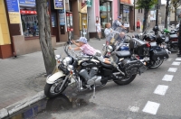 Zdjęcie: Akcja oddawania krwi-11.08.2013r. - GM STOP ŚMIERCI KOŚCIAN