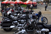 Zdjęcie: Bikersi na 