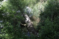 Zdjęcie: Bikersi w Dolinie Baryczy - 01.06.2014