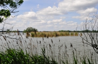 Zdjęcie: Bikersi w Dolinie Baryczy - 01.06.2014