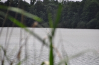 Zdjęcie: Bikersi w Dolinie Baryczy - 01.06.2014