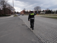 Zdjęcie: 